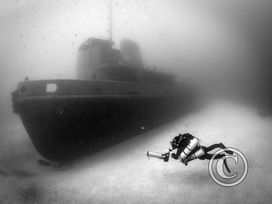 January 2024: Black & White - Joint Third