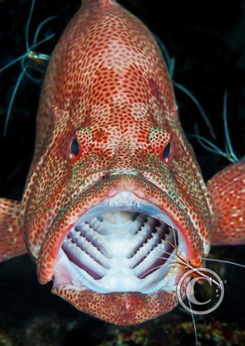 March 2024: Theme Portfolio: Winner (image 3)