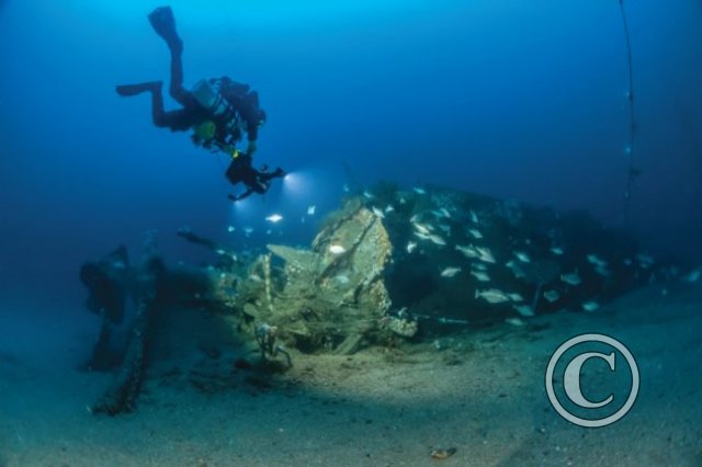 May 2024: Underwater Excellence - Joint Second (image 1)