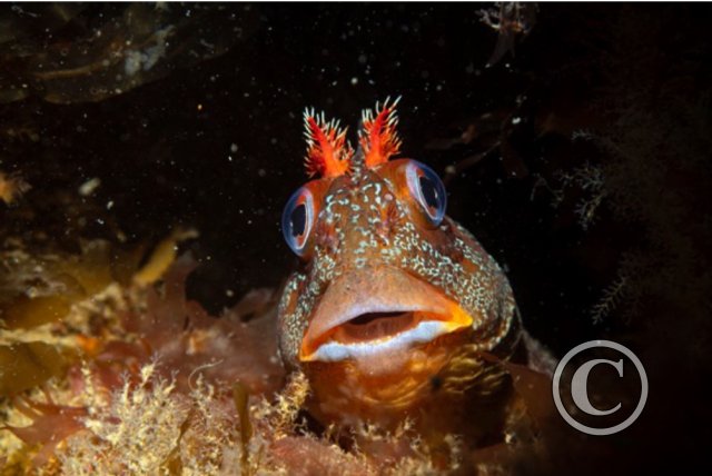 July 2024: Splash In Macro - Third