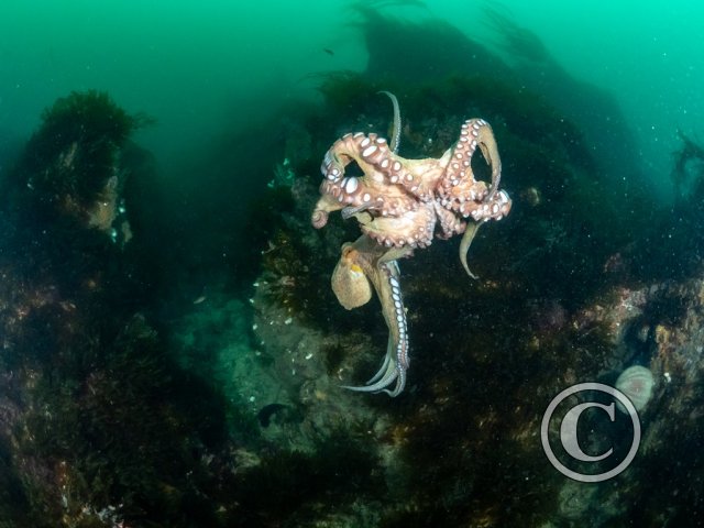 2025 Splash In: Wide Angle - Winner