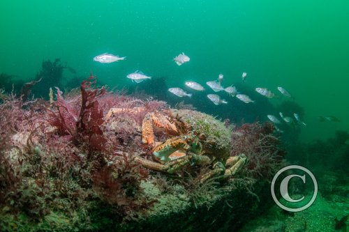 2025 Splash In: Wide Angle - Second