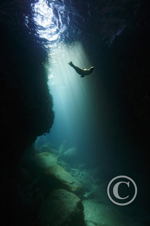 August 2025: Sunbeams - Joint second