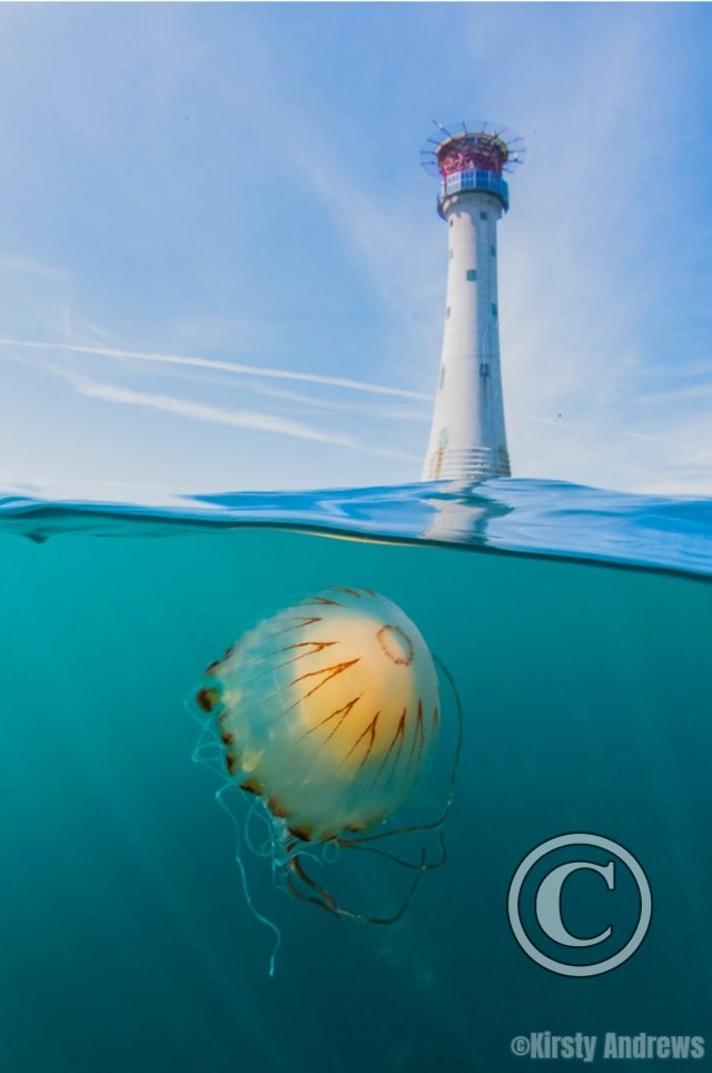 September 2025: Split Shots - Winner