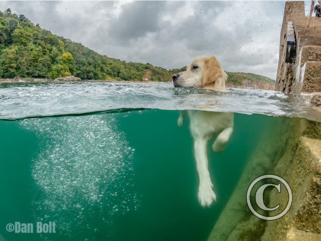 September 2025: Split Shots - Joint third