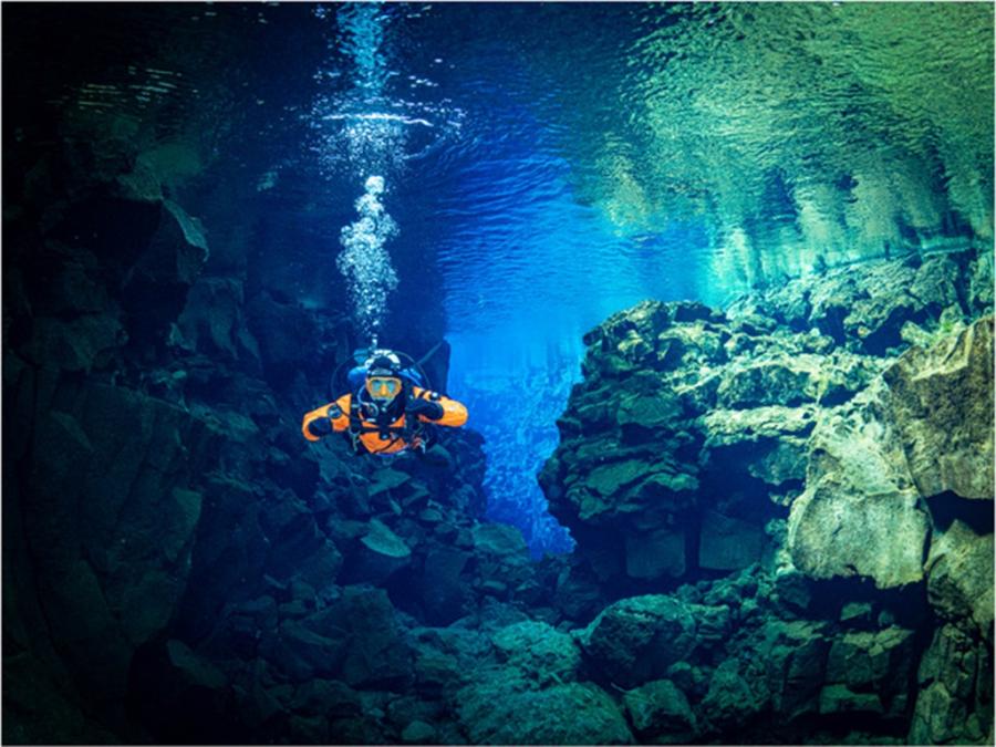 2026 Competition Winners