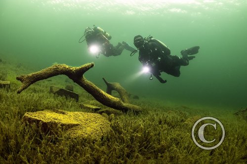 January 2026: Divers - Joint Winner