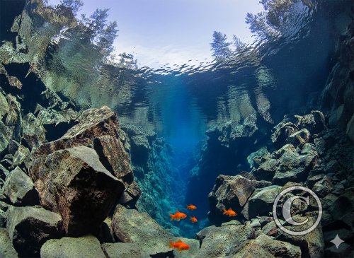 February 2026: Scenery - Winner