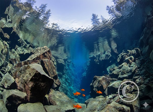 February 2026: Scenery - Winner